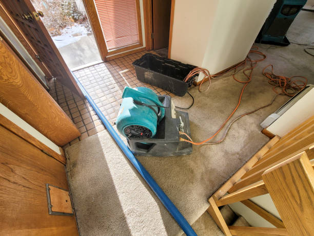 Best Water damage restoration near me  in Ewa Gentry, HI