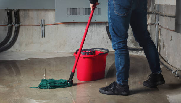 Best Basement water damage restoration  in Ewa Gentry, HI